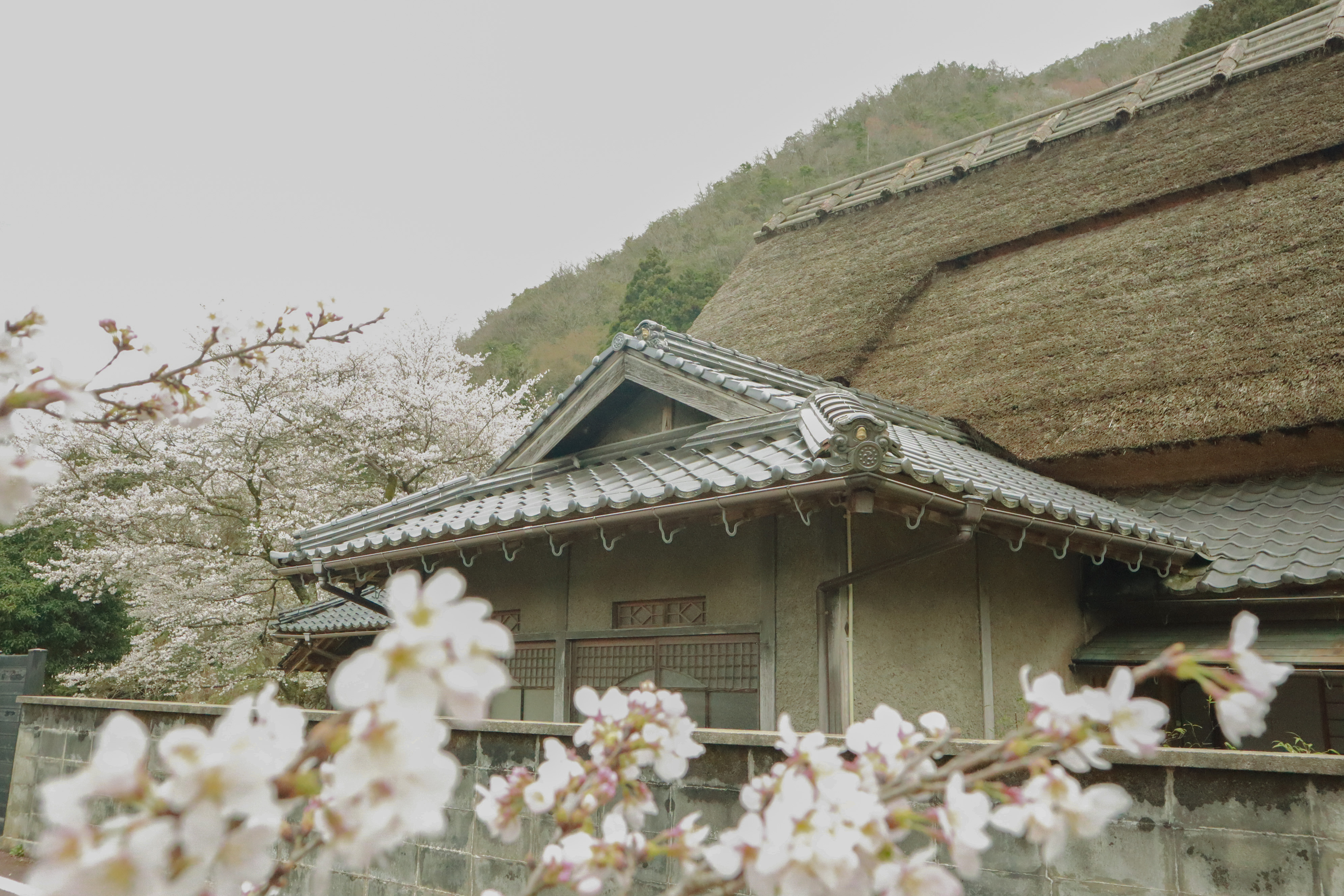 旧山崎家住宅