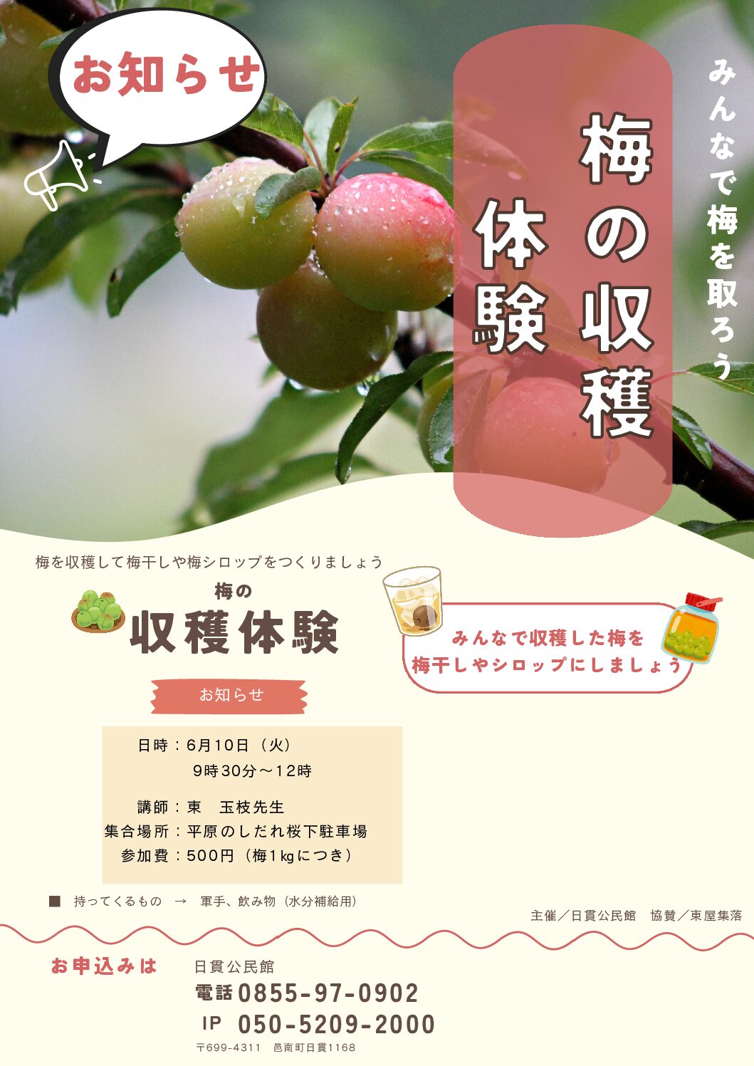 【収穫イベント】みんなで梅を収穫しよう！